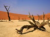 Dead Vlei, Namibie